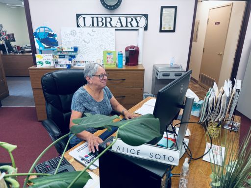 Woman sitting at a computer in a library